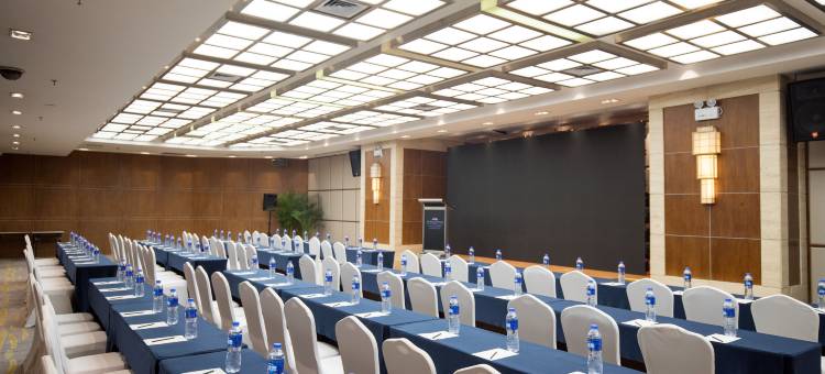 武汉江城明珠豪生大酒店图片