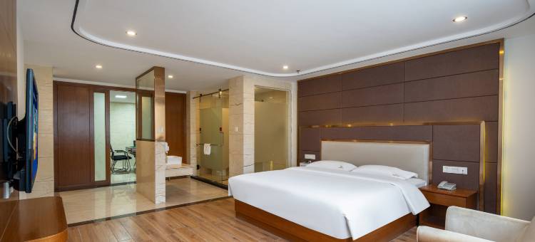 东莞银岭商务酒店图片