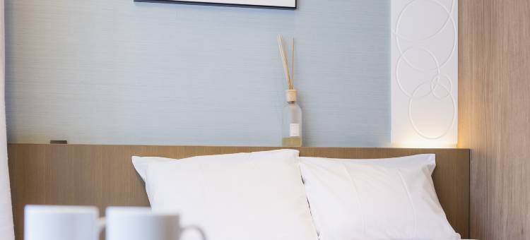 格拉斯丽银座酒店(Hotel Gracery Ginza)图片
