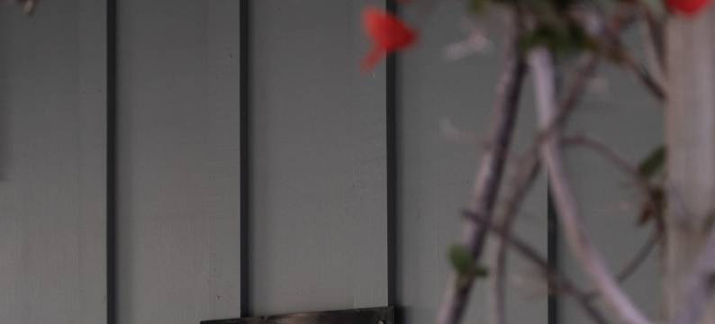 鲍街工作室(Bow Street Accommodation)图片