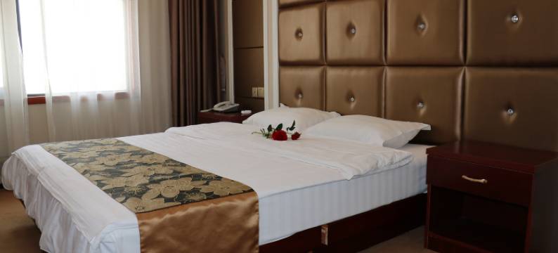 镇平县金富景酒店图片