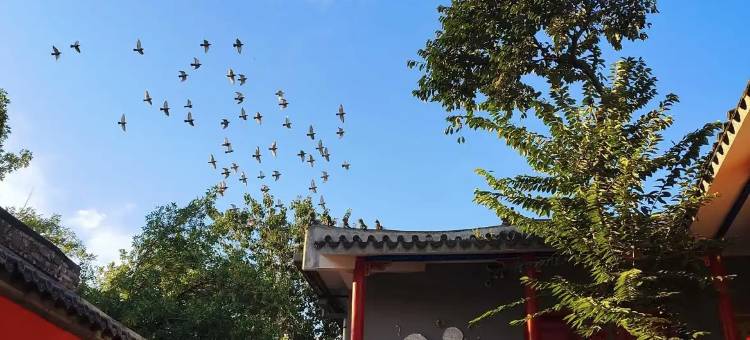 荣府老宅酒店(鼓楼南锣鼓巷地铁站店)图片