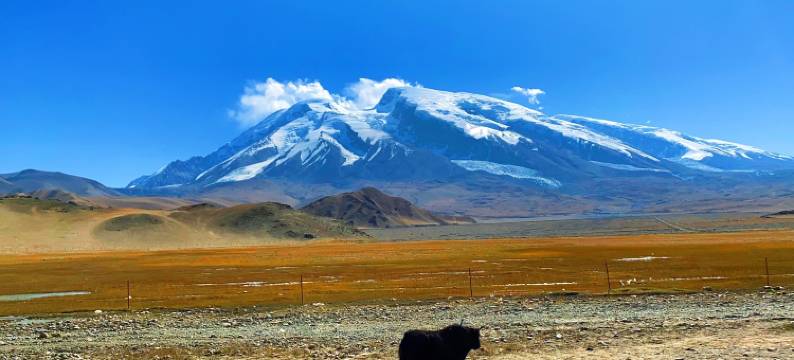 喀什市宁疆酒店(喀什古城昆仑塔店)图片