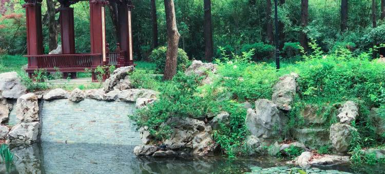 巢湖国中康健酒店图片