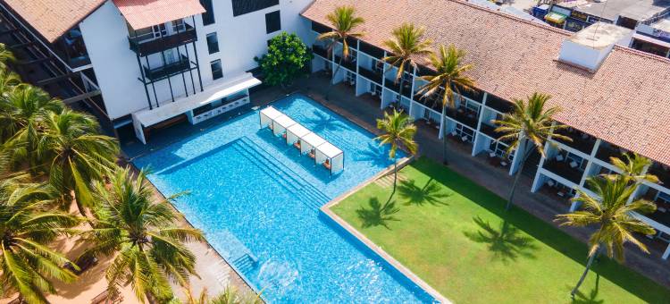 蓝色捷翼(Jetwing Blue)图片