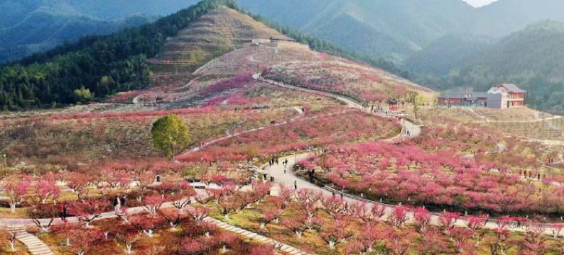 嘉清国际酒店(大余汽车站牡丹亭店)图片