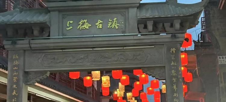 维也纳国际酒店(新化学府南路店)图片