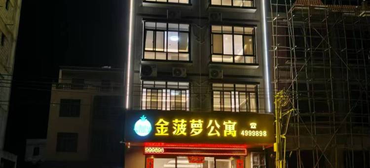 徐闻金菠萝公寓图片