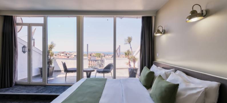 鸭子酒店(Duck Hotel)图片