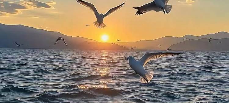 又见山 | Holiday Villa · 海景度假酒店(大理洱海店)图片