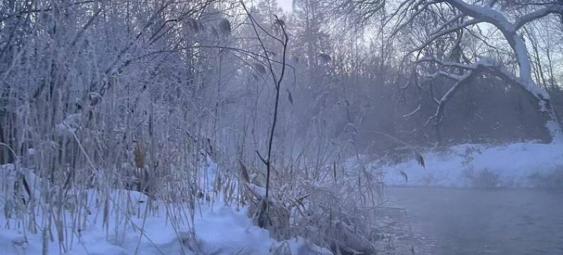 茗阳·宿温Suenn商务度假宾馆(长白山美人松雕塑公园店)图片