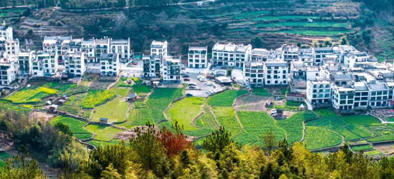 婺源篁岭晒秋·晓山青民宿图片