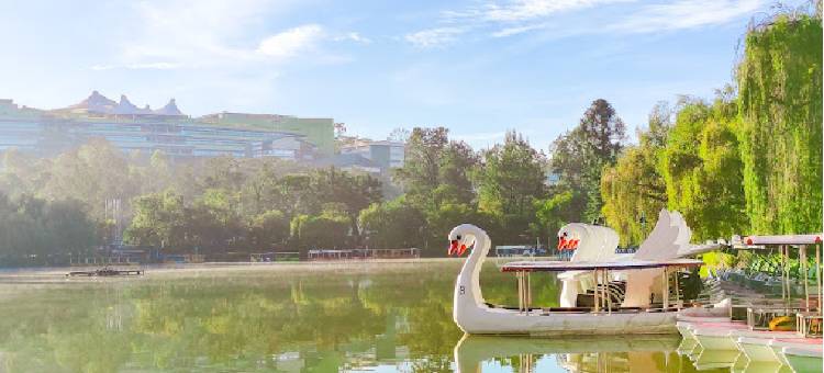 巴登鲍威尔旅舍(BADEN POWELL HOSTEL)图片