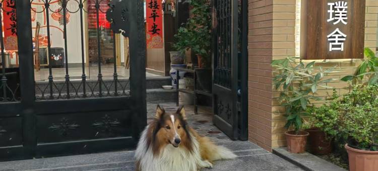 花筑·鲤遇璞舍·古城觅鲤·闽南禅意美宿(泉州西街开元寺店)图片