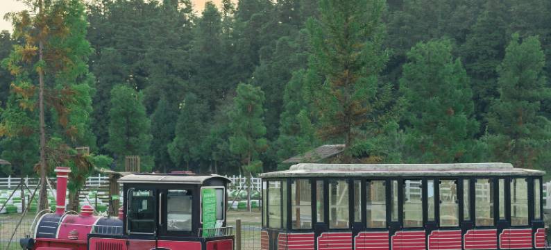 仙女山华邦酒店图片