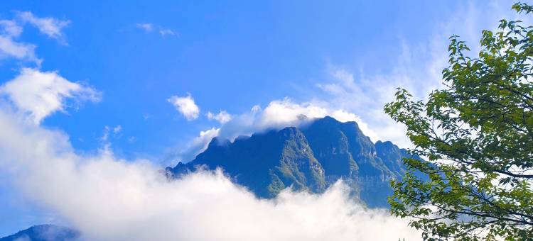 暇偶寄•璞舍民宿图片