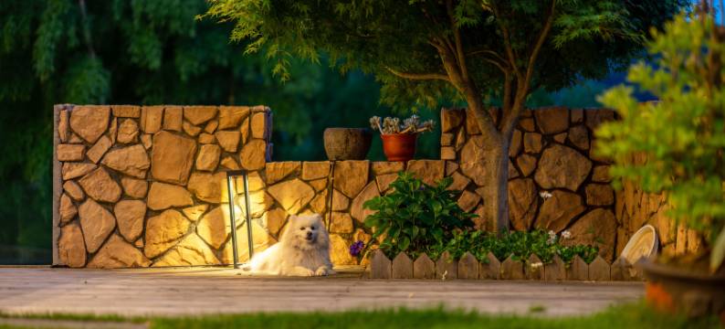 曼途木兮·云端竹海温泉度假民宿(安吉江南天池店)图片