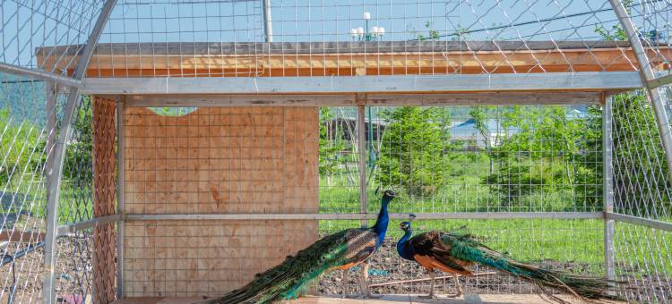 额尔古纳恩和俄罗斯族民族乡万庭望远山酒店图片