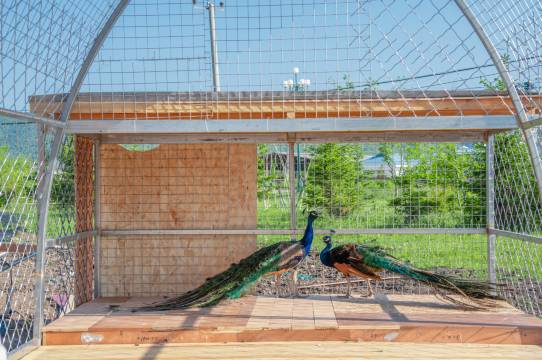 额尔古纳恩和俄罗斯族民族乡万庭望远山酒店图片