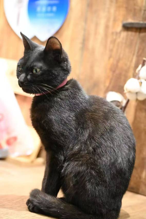 八美别院(八美镇店)图片