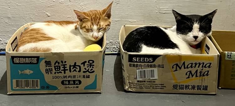 返璞歸真 KO hostel 墾丁背包客棧｜包房｜數位遊牧图片