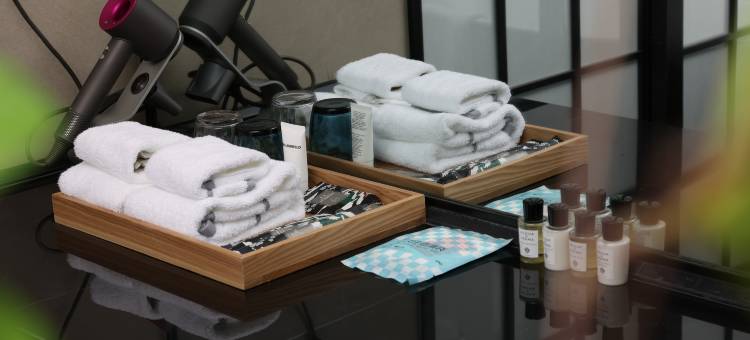 乌鲁木齐红光山国际会展中心暻阁酒店图片