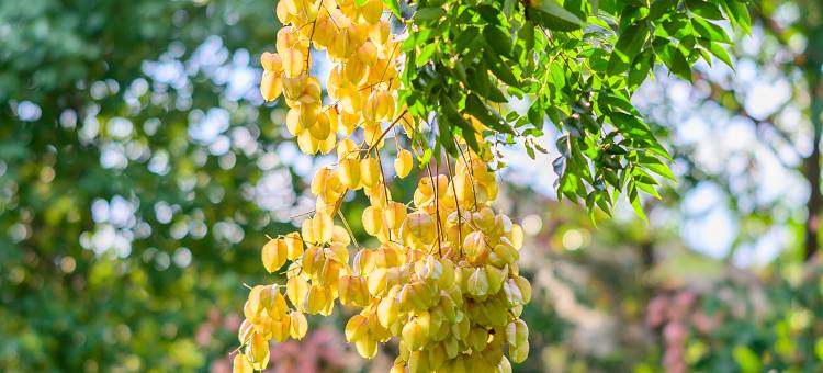 长兴芳草地度假酒店图片