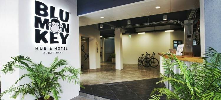 万伦蓝猴中心酒店(Blu Monkey Hub & Hotel Suratthani)图片
