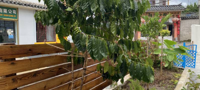 乐一宿青年旅社图片