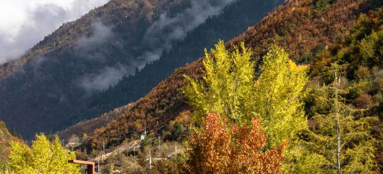 九寨鲁能希尔顿度假酒店图片
