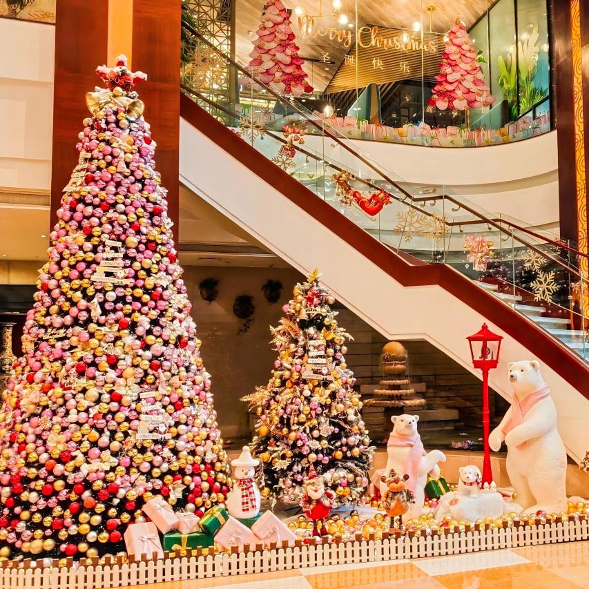 南宁红林大酒店(会展中心地铁站店)图片