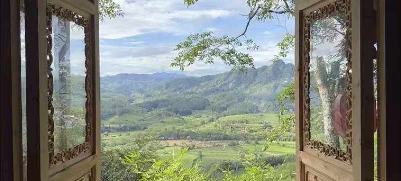 武夷山·倾城山色｜PASTORAL SCENERY茶文化行馆(三姑度假区店)图片