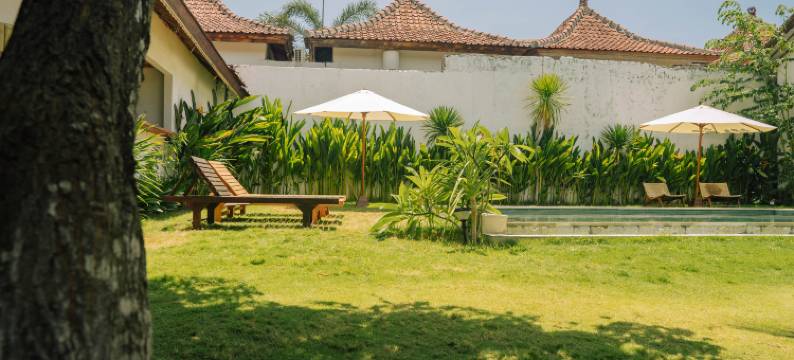 曼达利卡隐秘(The Confidential Mandalika)图片