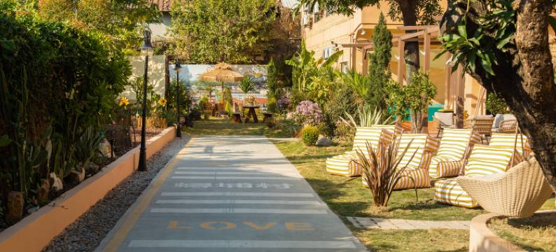 Wild·奢野花园｜Retreat To Nature设计师民宿(西街开元寺店)图片