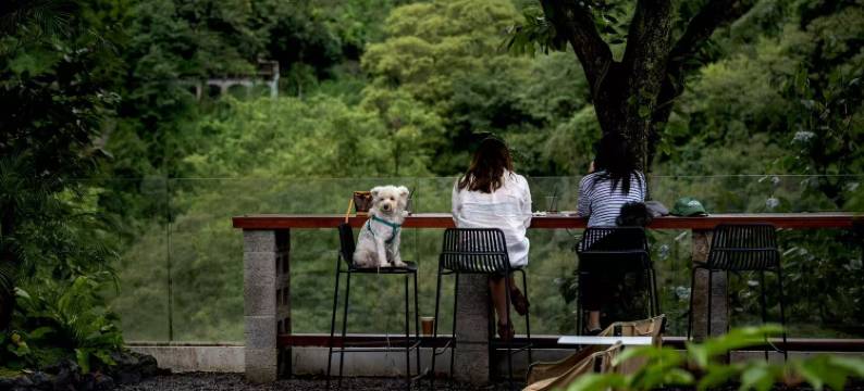 携程度假农庄(峨眉山一溪清音联营店)图片