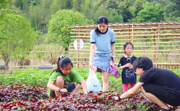 安吉绿郡龙山驿酒店图片