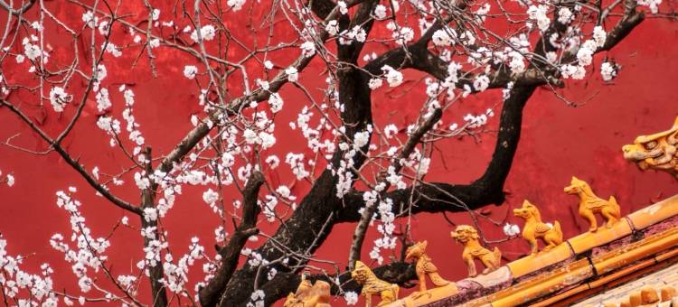 燕京人人大酒店(北京天安门广场前门地铁站店)图片