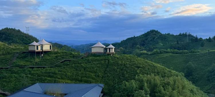 归旅·秦岭茶乡图片