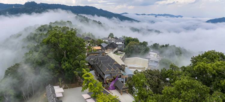 大豫仓·二十四茶海赏云宿(澜沧景迈山古树茶林店)图片