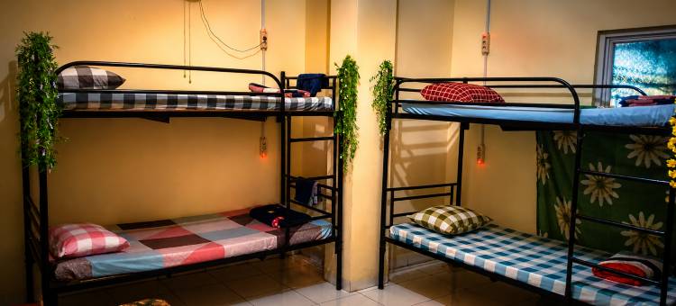 达兹宏背包客青年旅舍(Medan Dazhong Backpacker's Hostel)图片