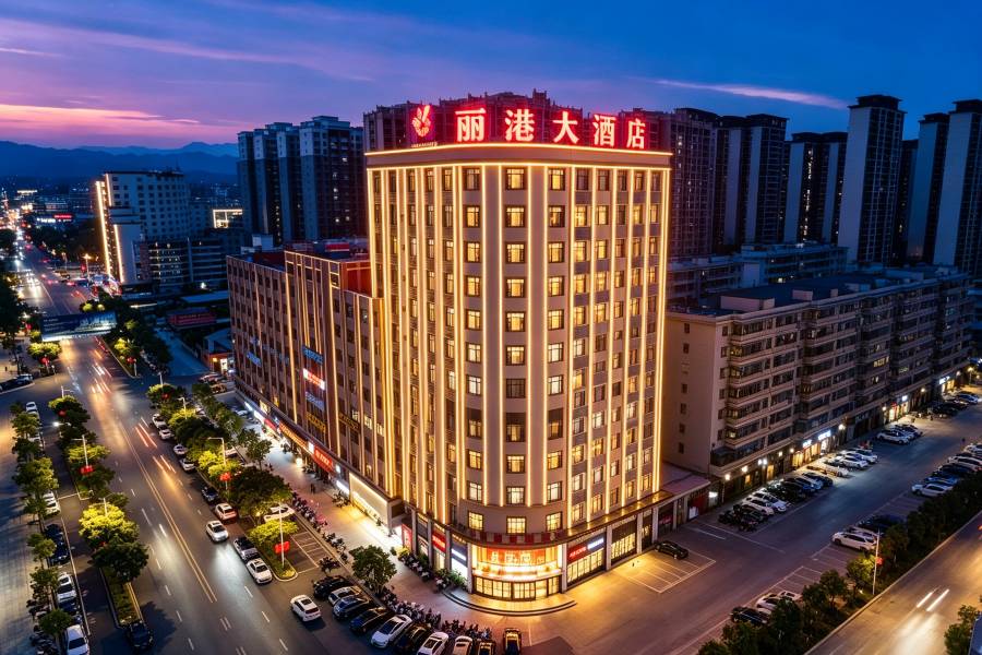 惠來麗港大酒店(揭陽惠來站店)