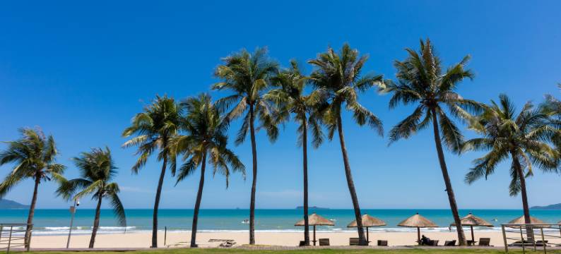 海屿清柏美宿(三亚湾椰梦长廊海上大都会店)图片