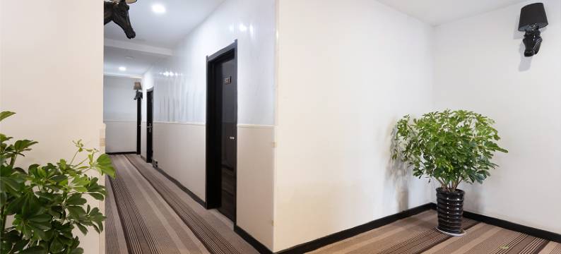 金逸轻居酒店(沈营大街上亿广场店)图片