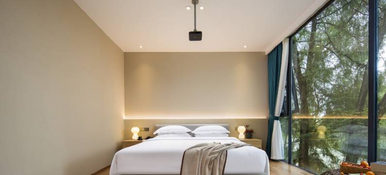 天府云逸大酒店(成都天府国际机场店)图片