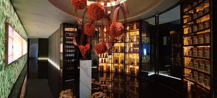 鄂尔多斯瑞娅Designer酒店图片