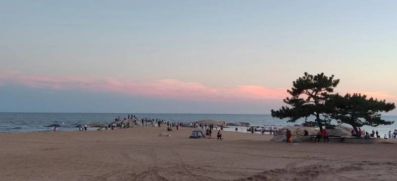 乐鸥海景酒店(北戴河老虎石店)图片