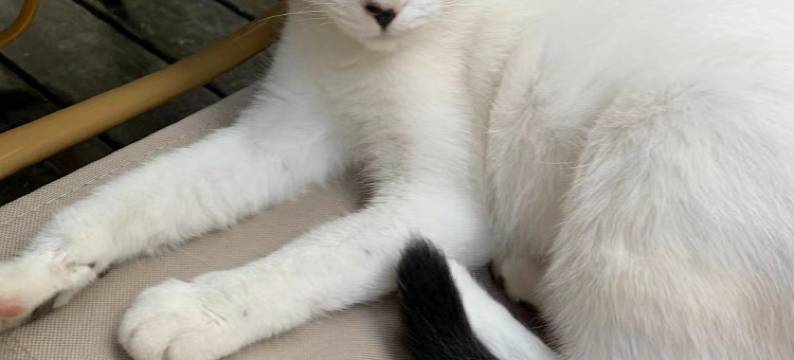 大理希望家的客栈图片