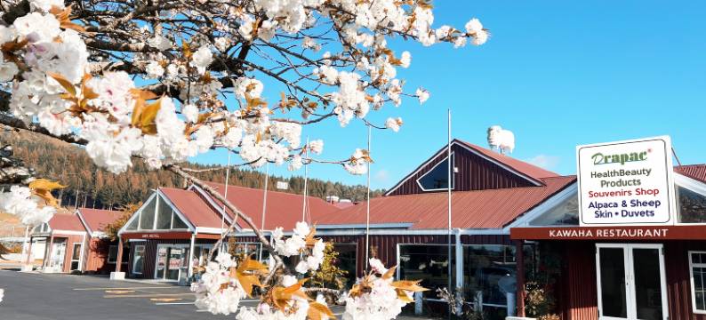 AWA酒店(Awa Hotel)图片