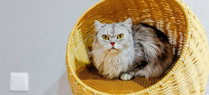 威海古登里民宿(威高时光城店)图片