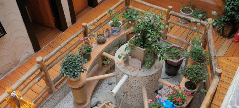 若初见青年酒店图片